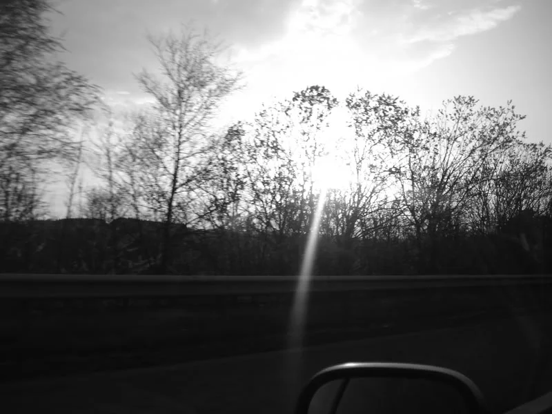 DSC01591.webp
