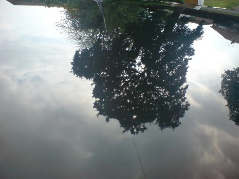 DSC01600.webp