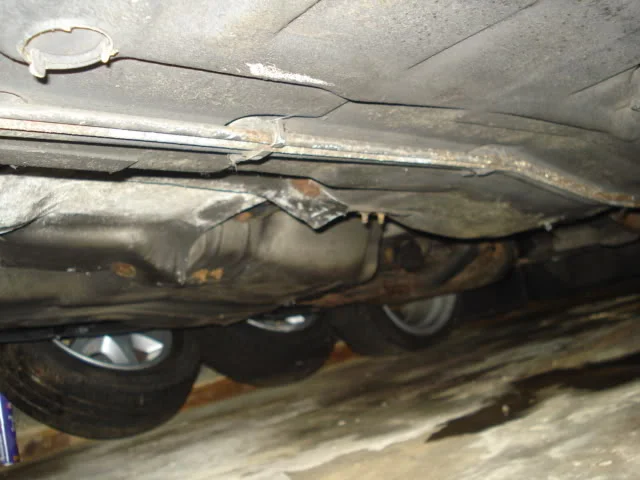 DSC01633.webp