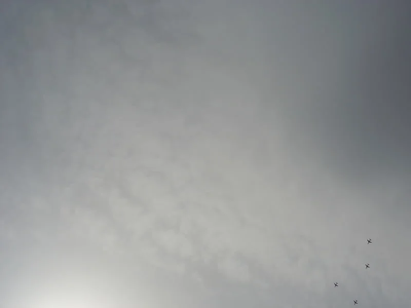 DSC01643.webp