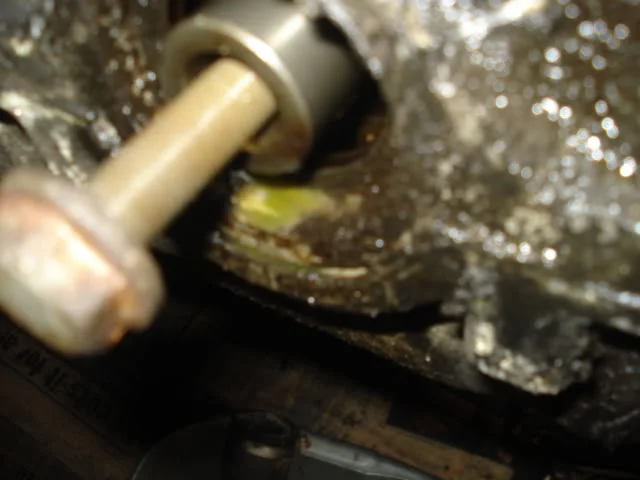 DSC01643.webp