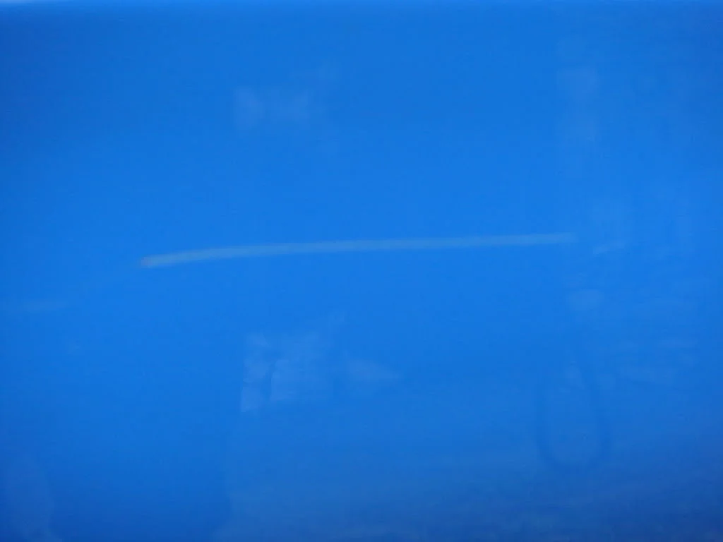 DSC01657.webp