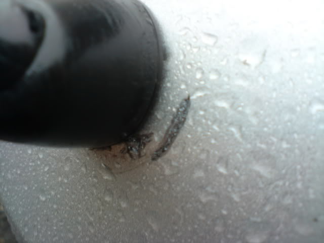 DSC01669.jpg DSC01669.jpg