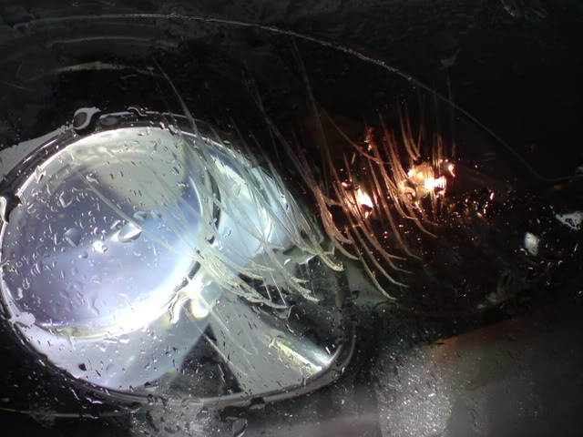 DSC01680.jpg DSC01680.jpg