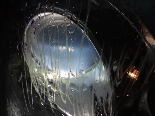 DSC01686.jpg DSC01686.jpg