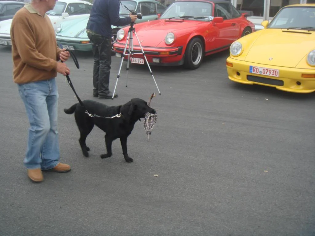DSC01729.webp