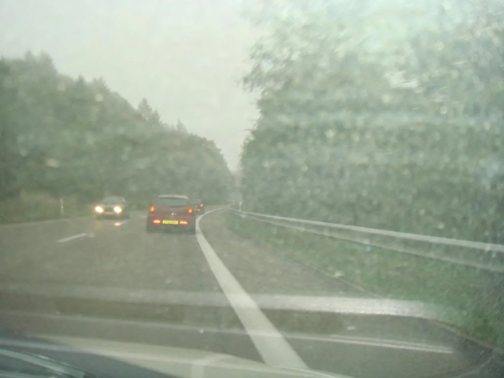 DSC01750.webp