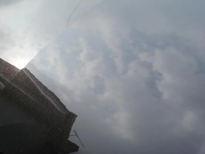 DSC01760.webp