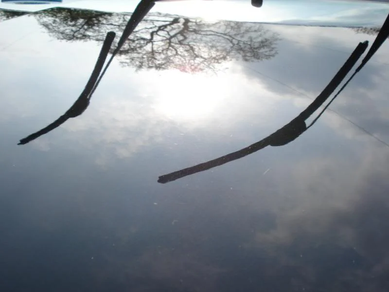 DSC01787.webp