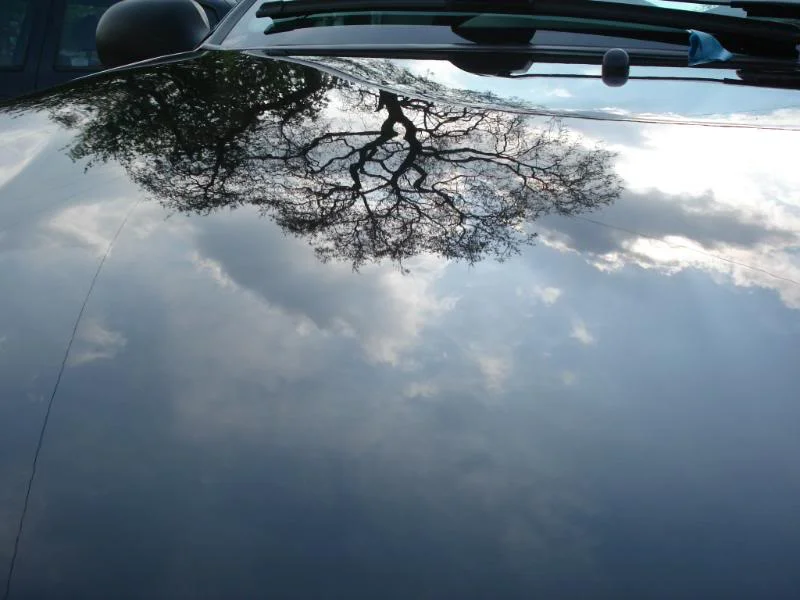 DSC01790.webp