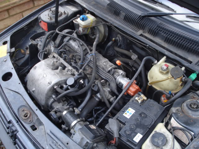 DSC01816.jpg DSC01816.jpg