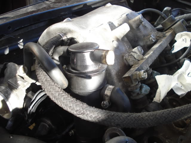 DSC01824.jpg DSC01824.jpg