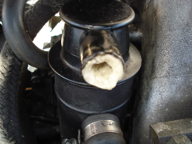 DSC01825.jpg DSC01825.jpg