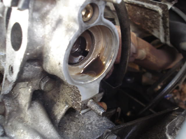 DSC01828.jpg DSC01828.jpg