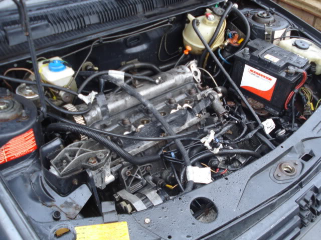 DSC01830.jpg DSC01830.jpg