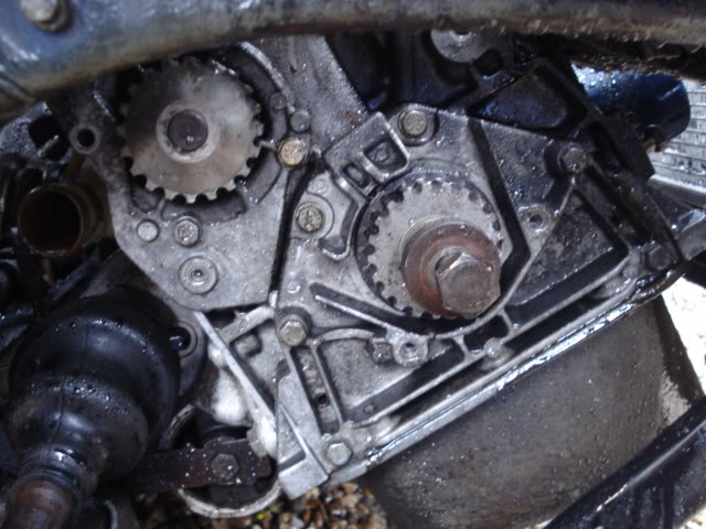 DSC01831.jpg DSC01831.jpg