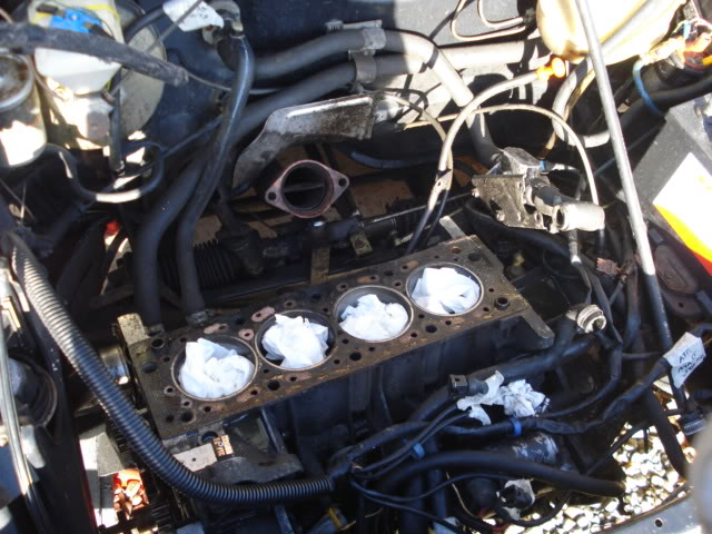 DSC01834.jpg DSC01834.jpg