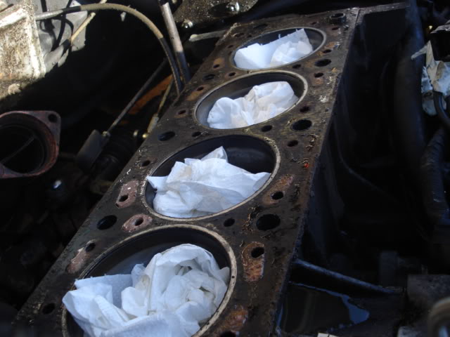 DSC01835.jpg DSC01835.jpg