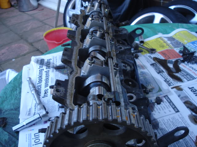 DSC01837.jpg DSC01837.jpg