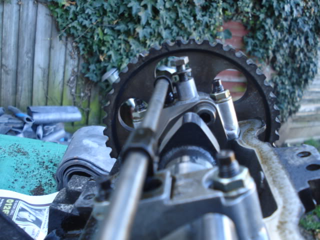 DSC01839.jpg DSC01839.jpg