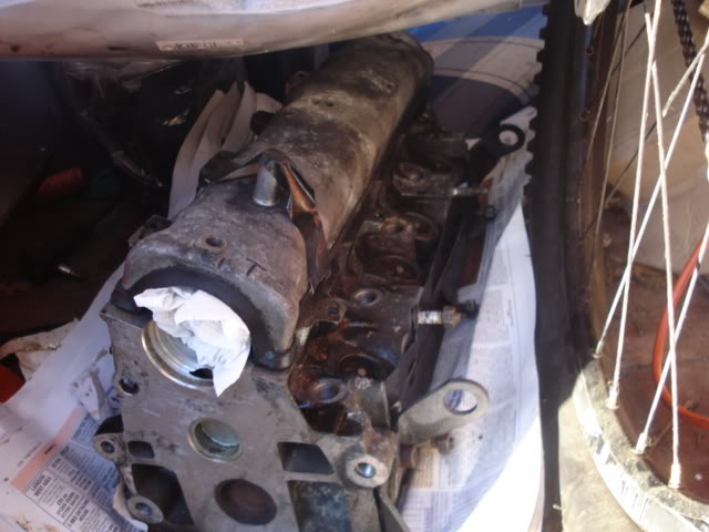 DSC01841.jpg DSC01841.jpg