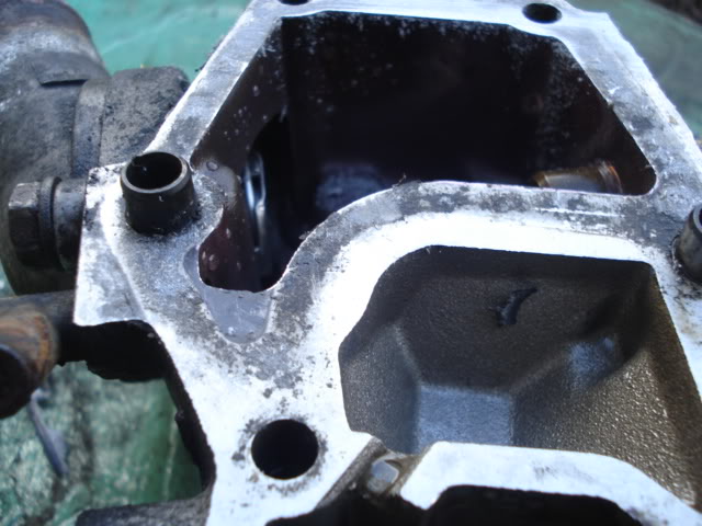 DSC01850.jpg DSC01850.jpg