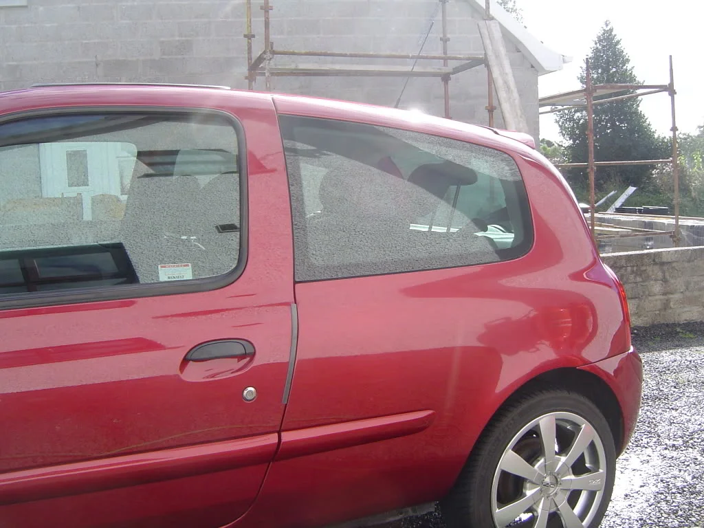 DSC01854.webp