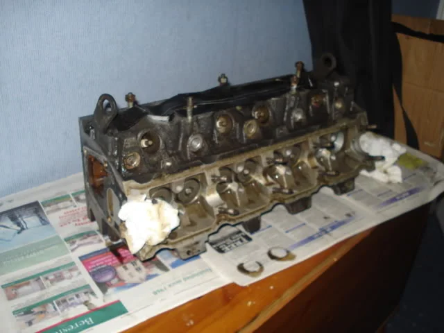 DSC01861-1.webp