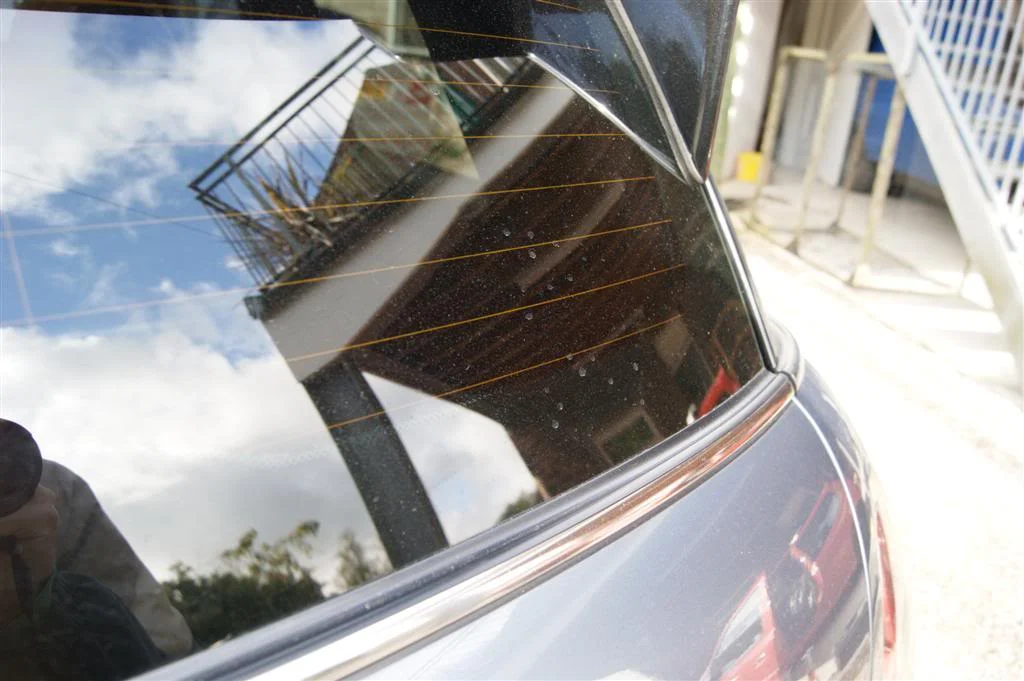 DSC01882Large.webp