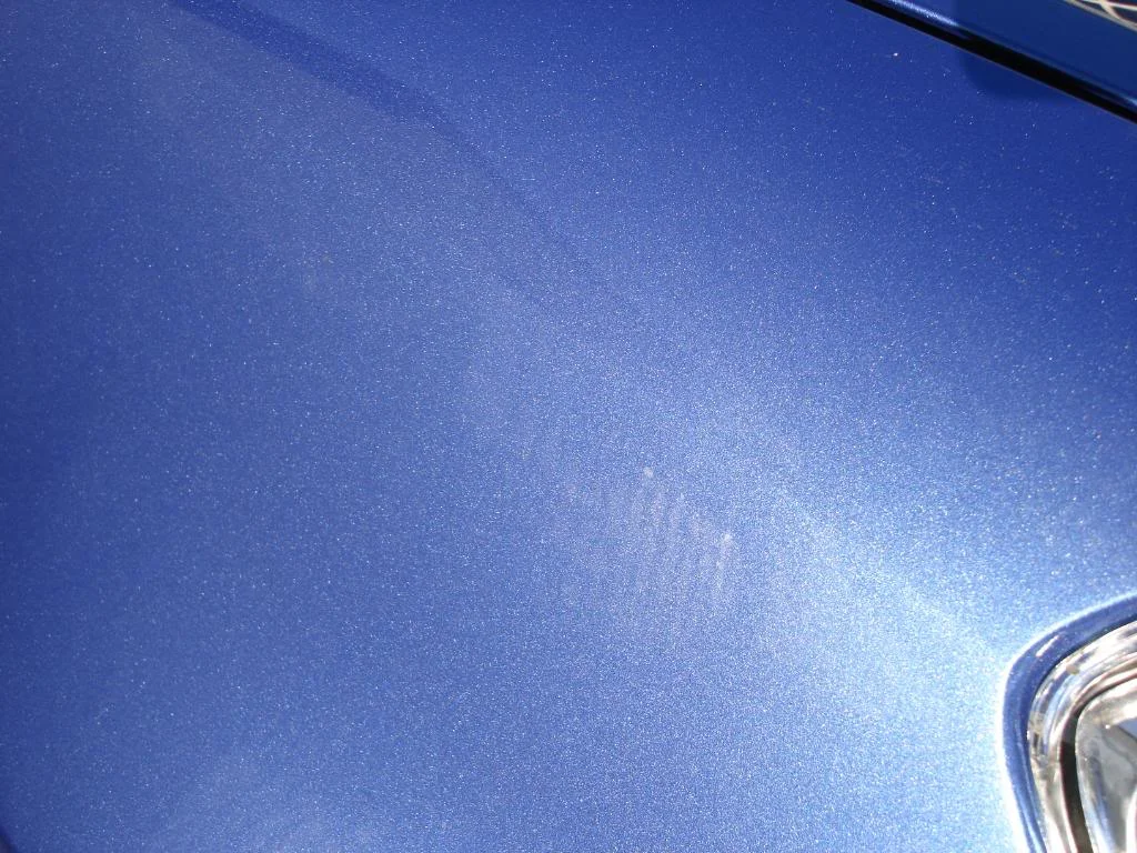 DSC01883.webp