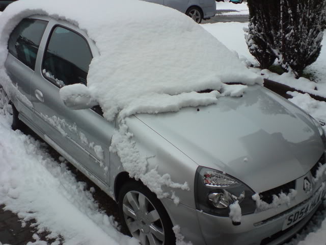 DSC01905.jpg