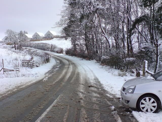 DSC01920.jpg