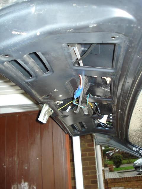 DSC01920.jpg DSC01920.jpg