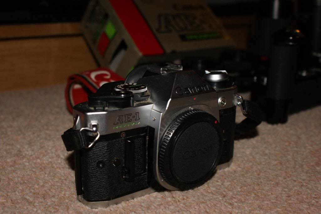 DSC01951_zpsa4c5d337.jpg