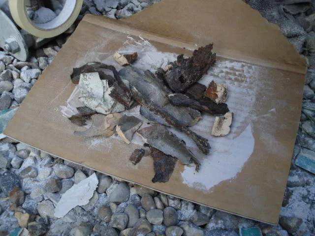 DSC01959.webp