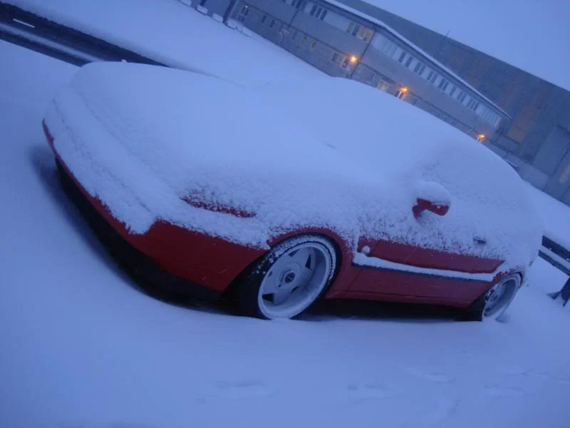 DSC01960.webp