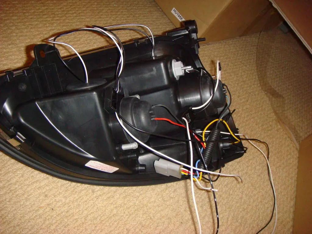 DSC01979.webp