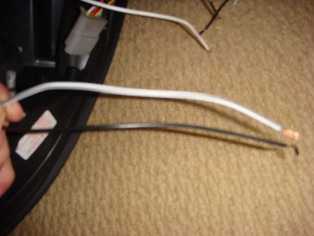 DSC01980.webp