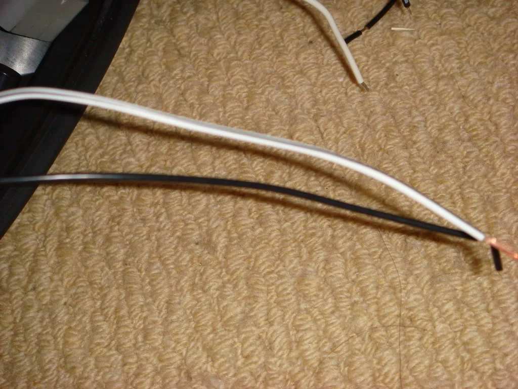 DSC01981.webp