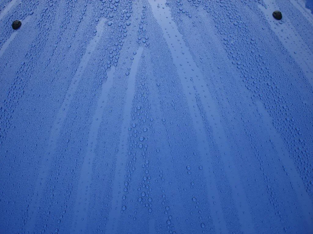DSC02000.webp