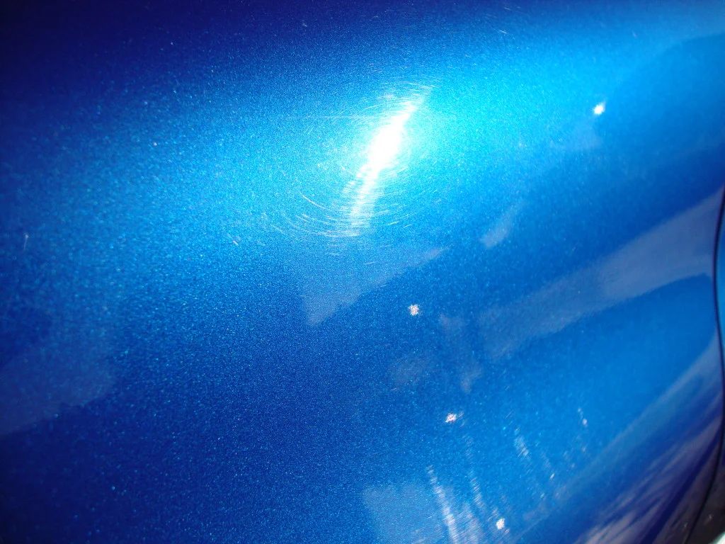 DSC02015.webp