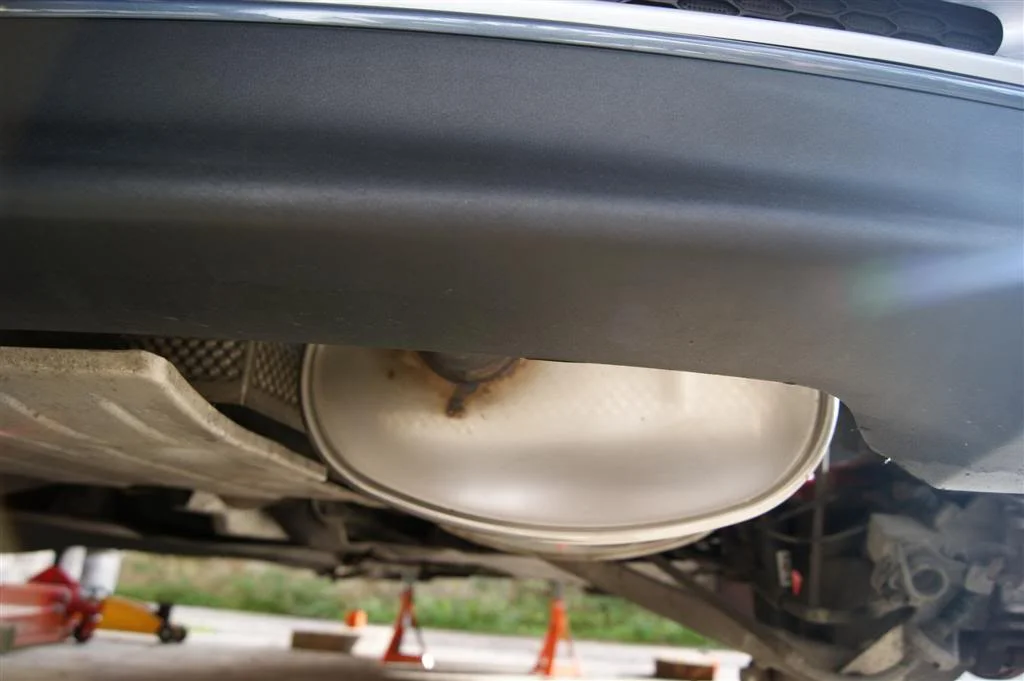DSC02015Large.webp