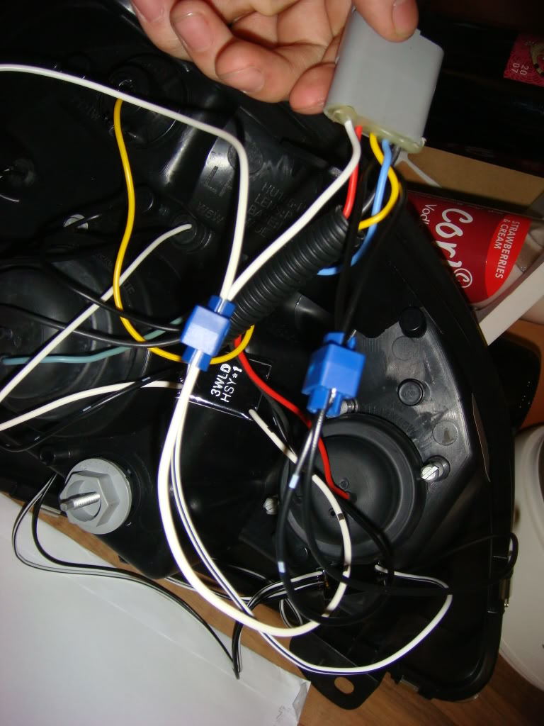 DSC02018.jpg