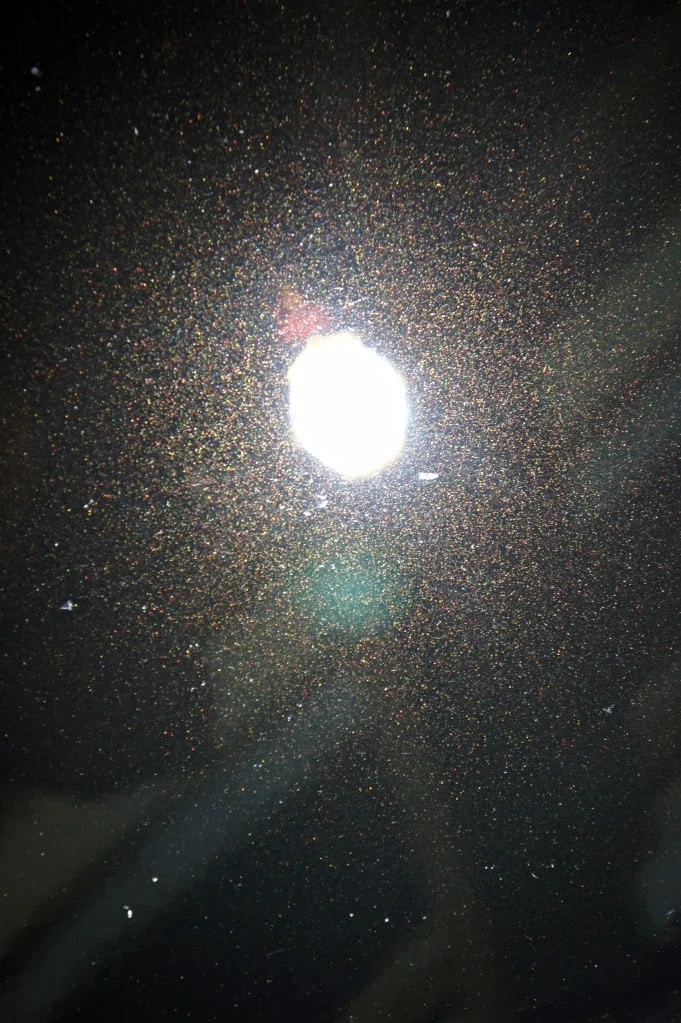 DSC02043.webp