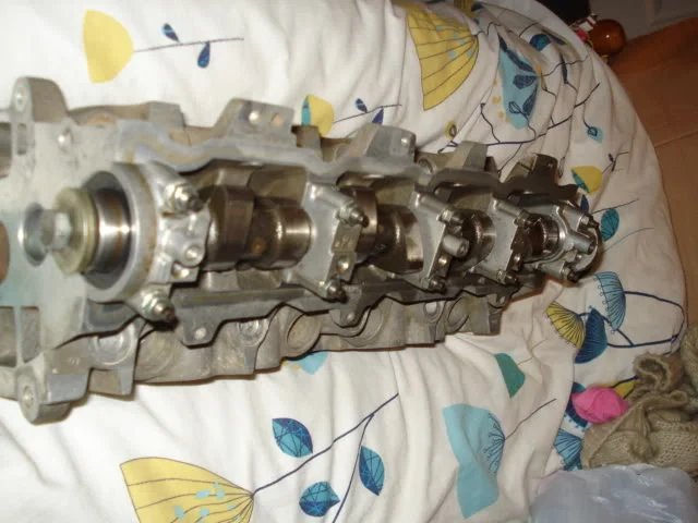 DSC02139.webp