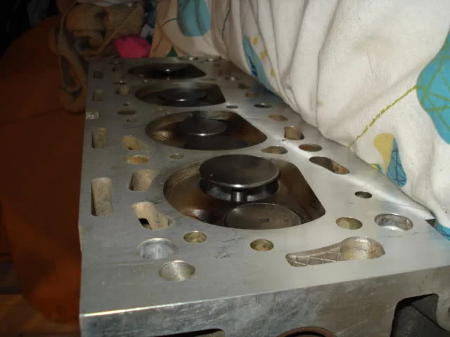 DSC02143.webp