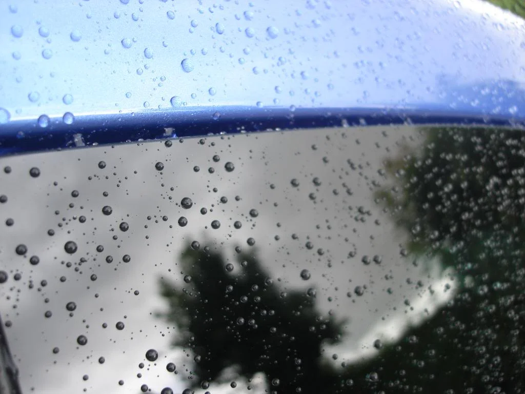 DSC02144.webp