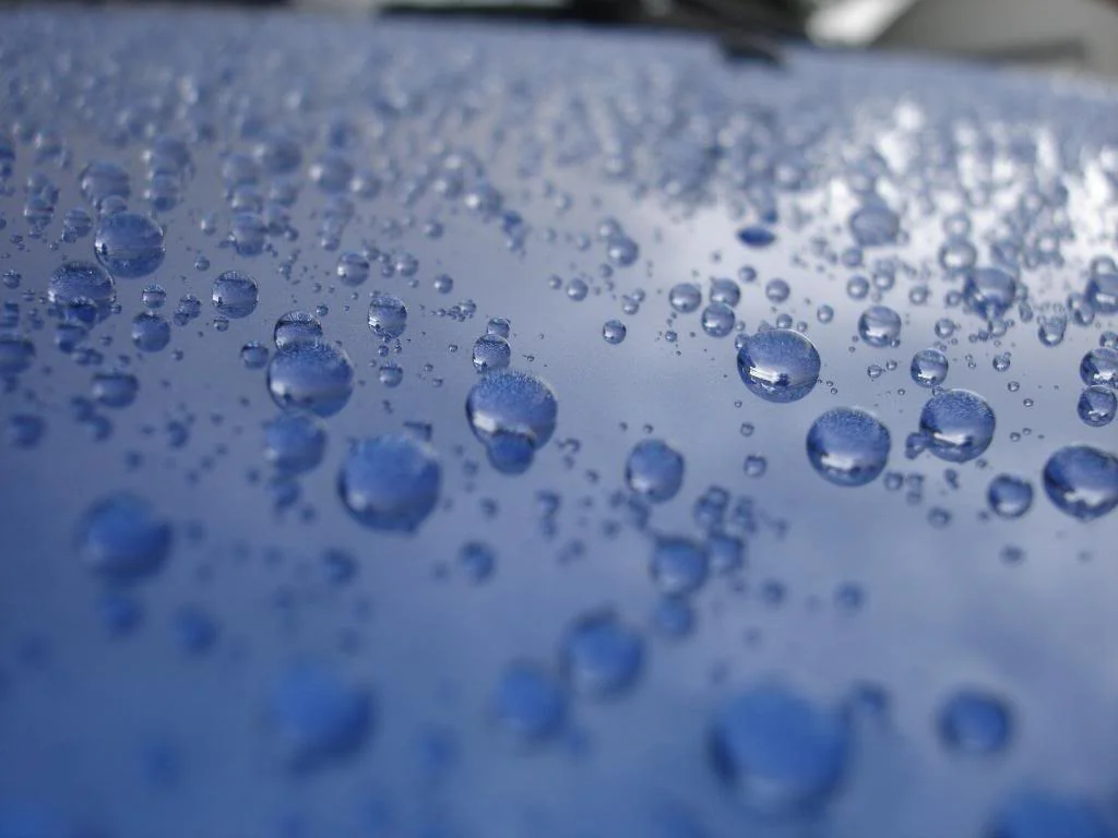 DSC02145.webp