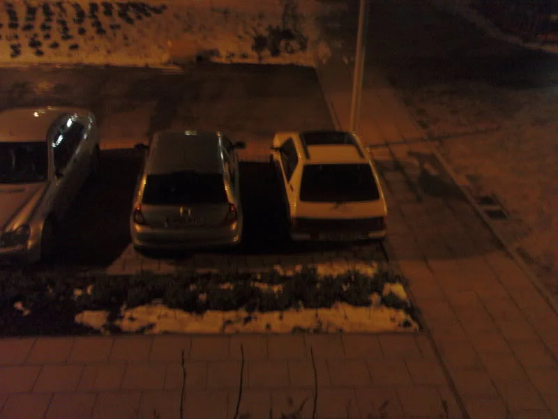 DSC02179.webp