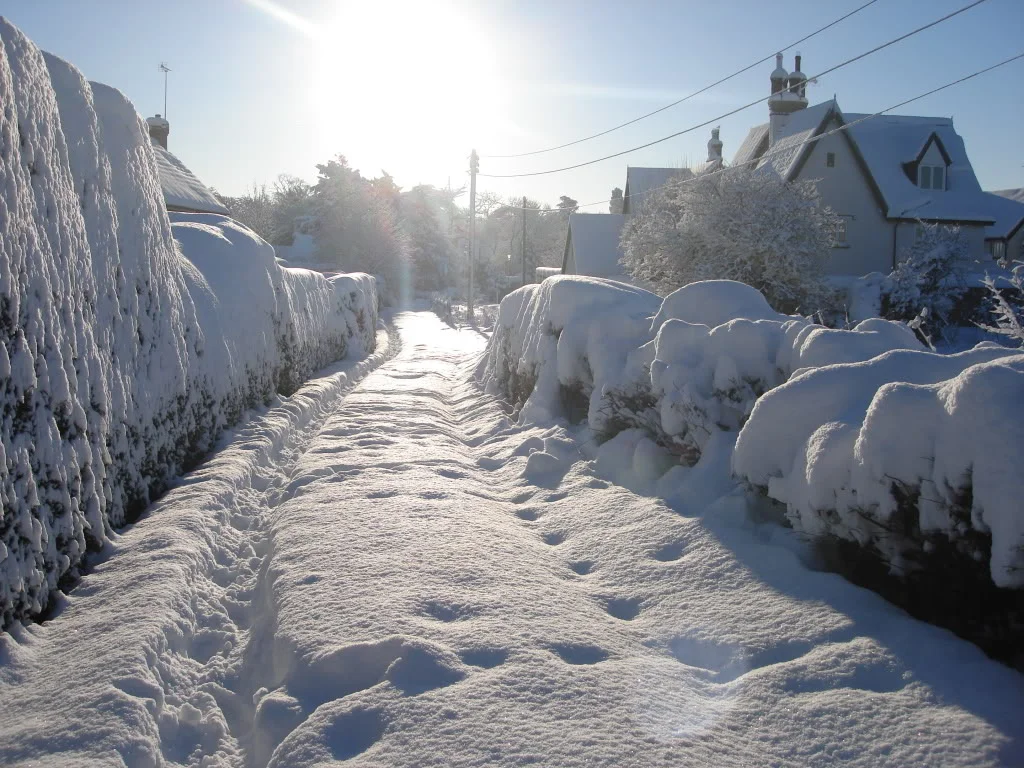 DSC02231.webp